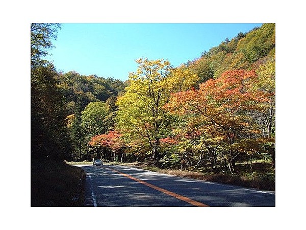 せせらぎ街道の紅葉