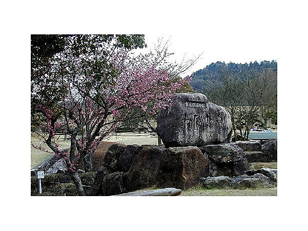 生活環境保全林みたけの森