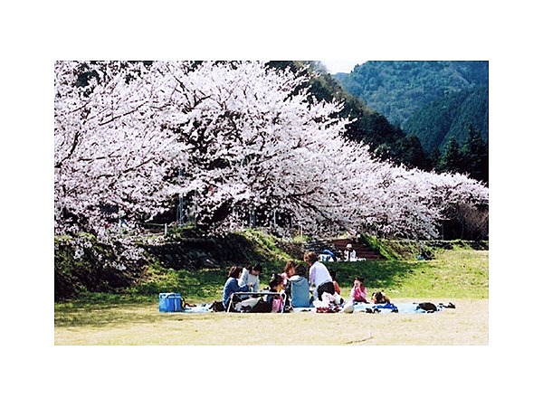 羽根谷だんだん公園