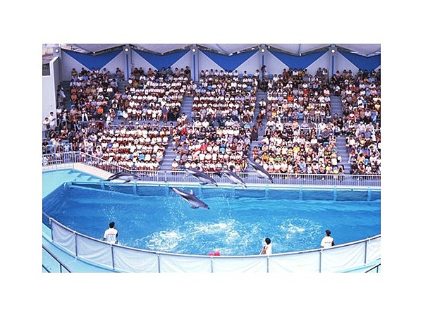 伊豆・三津シーパラダイス