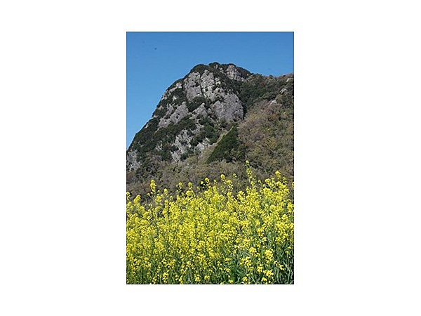 城山・三津ハイキングコース