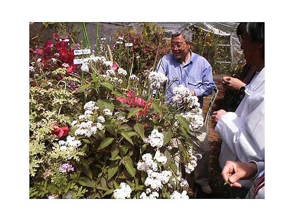 熱川ハーブテラス