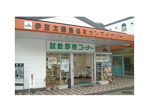 JA伊豆太陽みかんワイナリー