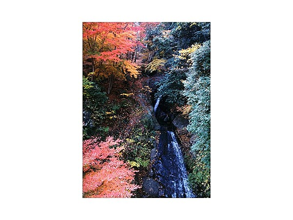 はかま滝オートキャンプ場