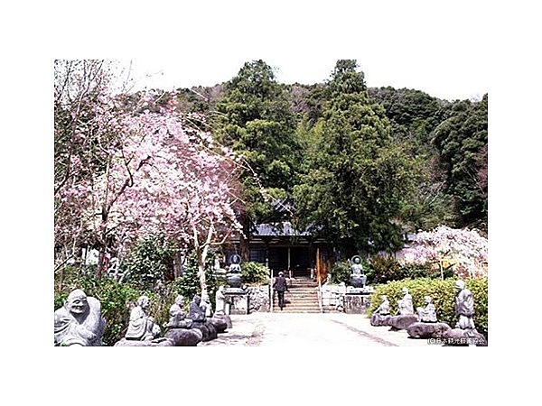 宝蔵院