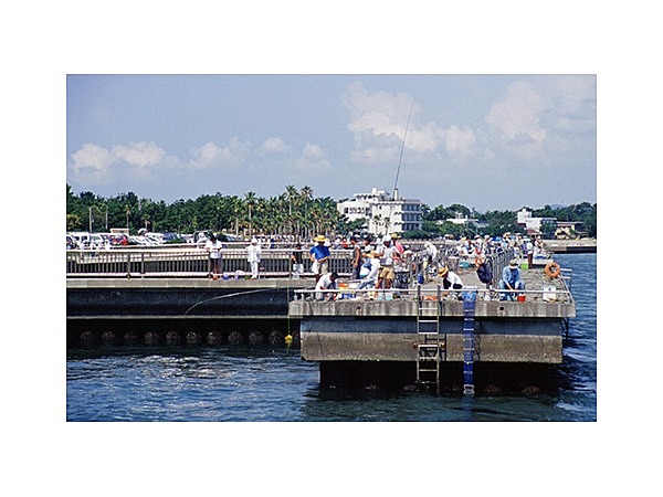 新居弁天海釣公園