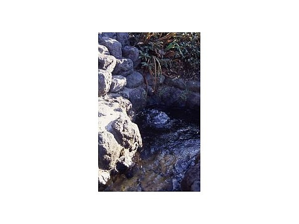 鎧ヶ淵親水公園