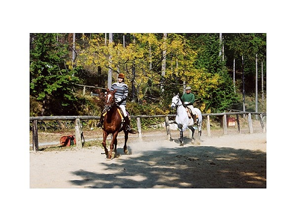 奥山高原乗馬クラブ