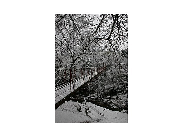 駿河平自然公園