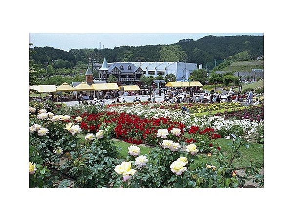 島田市ばらの丘公園