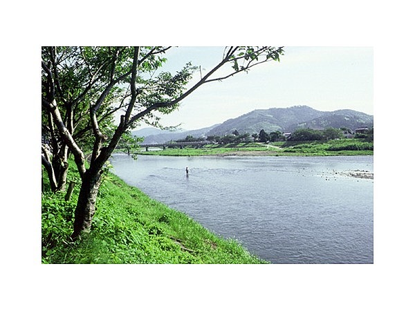 太田川（静岡県）