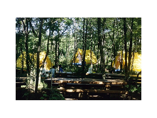 裾野市十里木キャンプ場