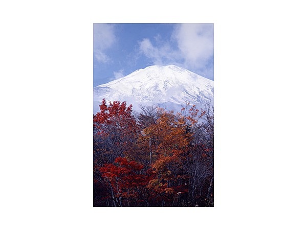 富士山スカイラインの紅葉