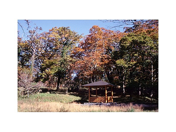 頼朝の井戸の森