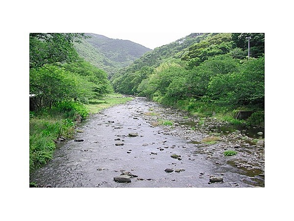 那賀川・岩科川