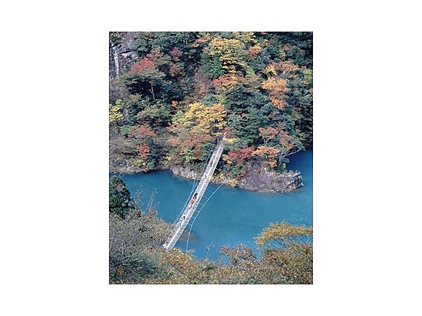 寸又峡グリーンシャワーロード