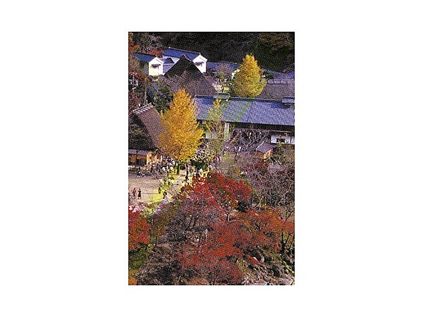 香嵐渓のモミジ