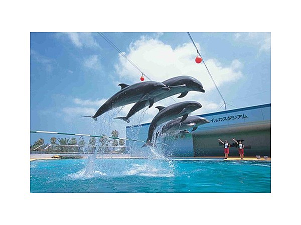 南知多ビーチランド