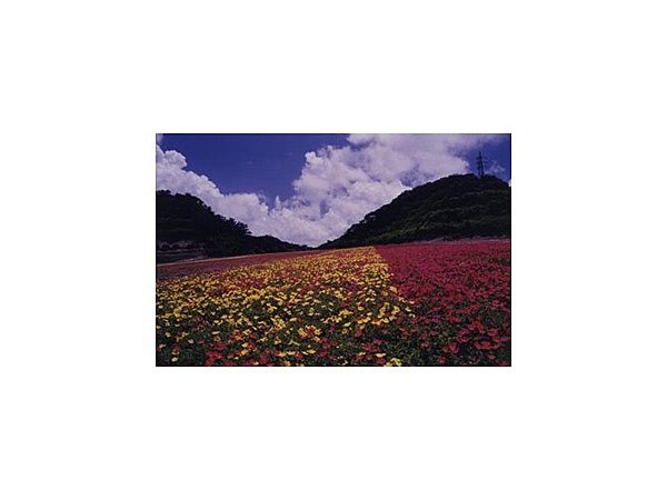 観光農園花ひろば