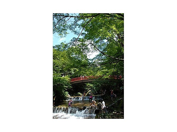 岩屋堂公園