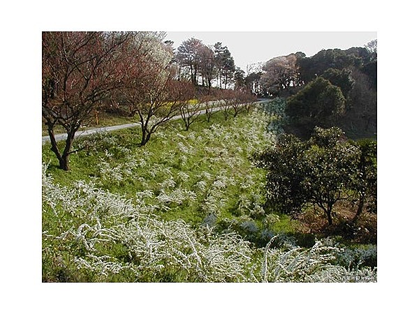 愛知こどもの国キャンプ場