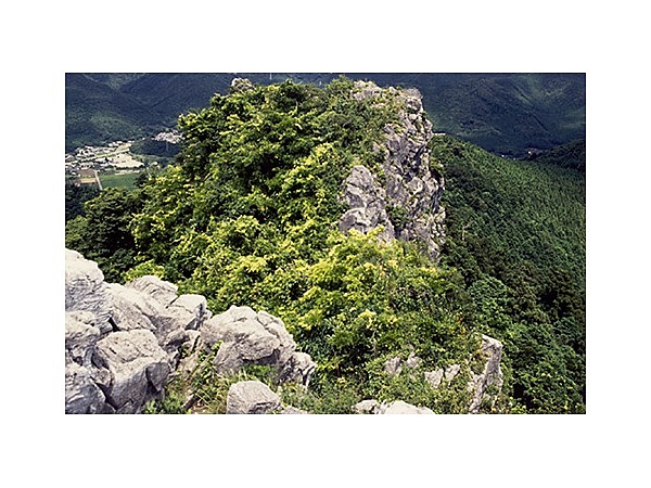 石巻山石灰岩地植物群落