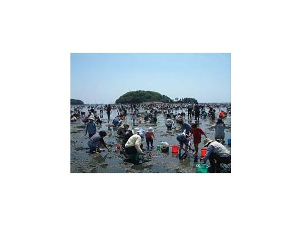 東幡豆・前島の潮干狩