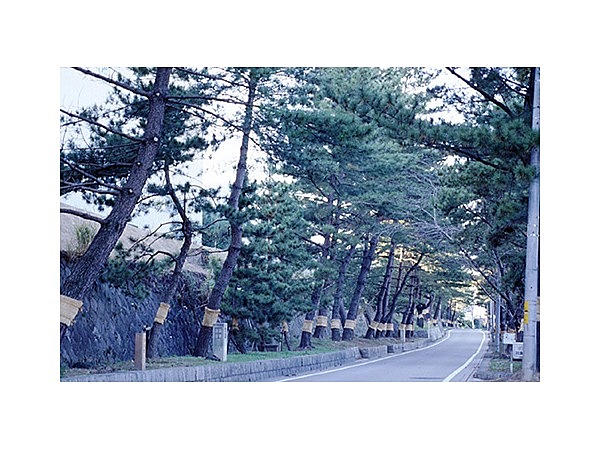 旧東海道（藤川宿）