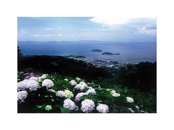 あじさいロード(三ヶ根山スカイライン)