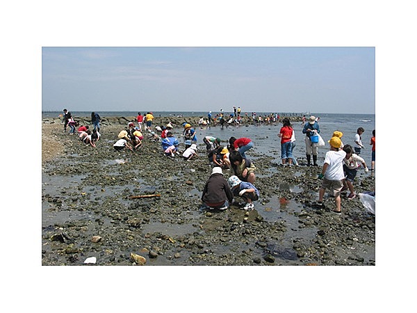 山田潮干狩り