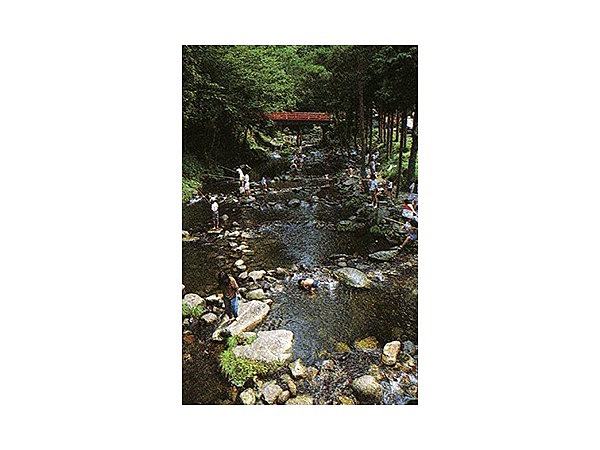 神越渓谷マス釣り場