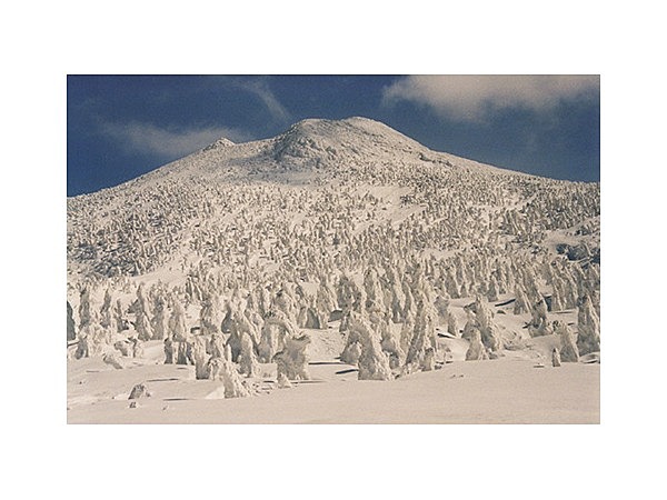 八甲田山の樹氷