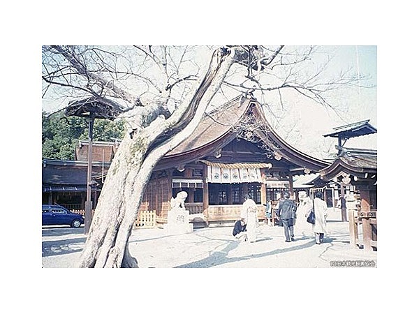 尾張大国霊神社拝殿