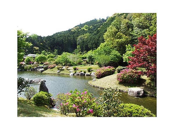 種まき権兵衛の里