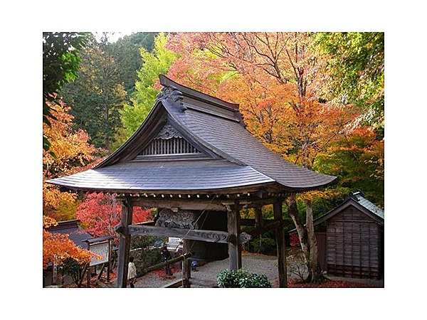 天開山口窄泰運寺