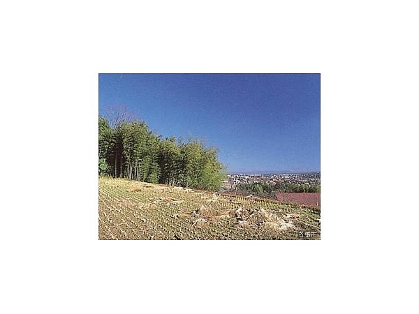 勝手神社(三重県)