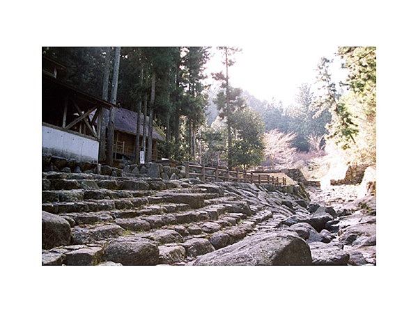 矢頭中宮キャンプ場