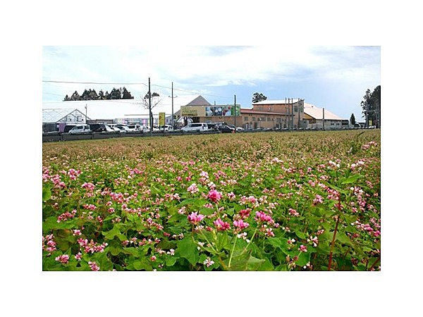 アグリの里おいらせ