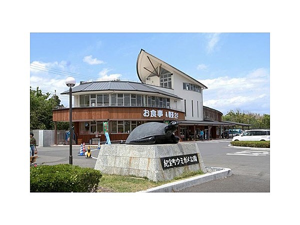 紀宝町ウミガメ公園物産館