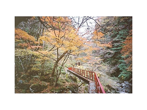 宮の谷峡谷遊歩道