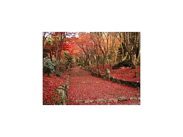 鶏足寺(旧飯福寺)