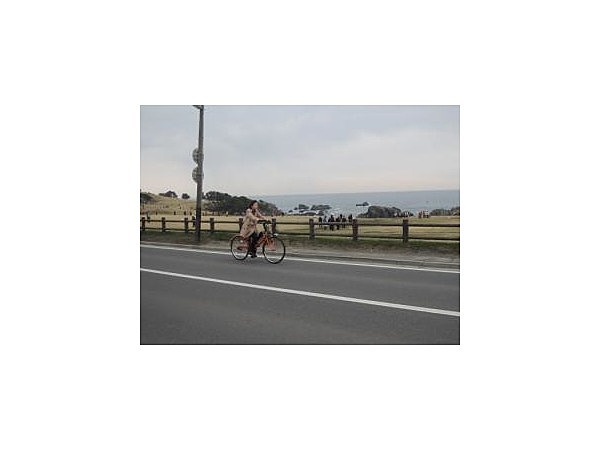 種差海岸らくらくサイクル