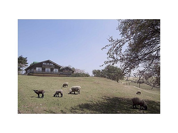 カワヨグリーン牧場