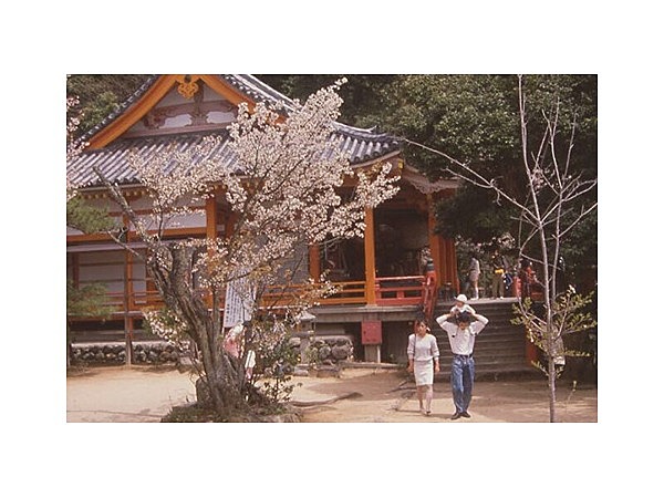 大崎寺（大崎観音）