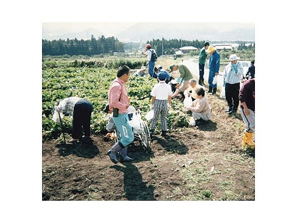 弥高観光いも園