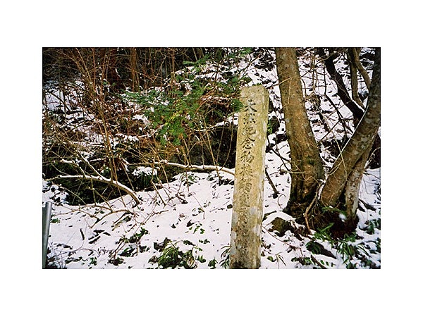 綿向山麓の接触変質地帯