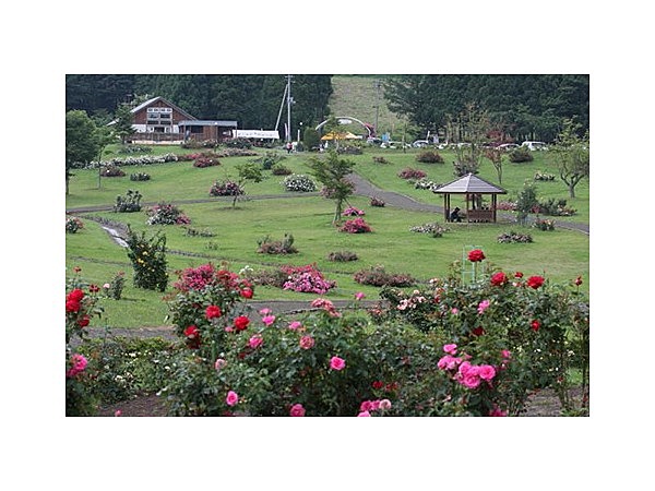 東八甲田ローズカントリー　ローズガーデン