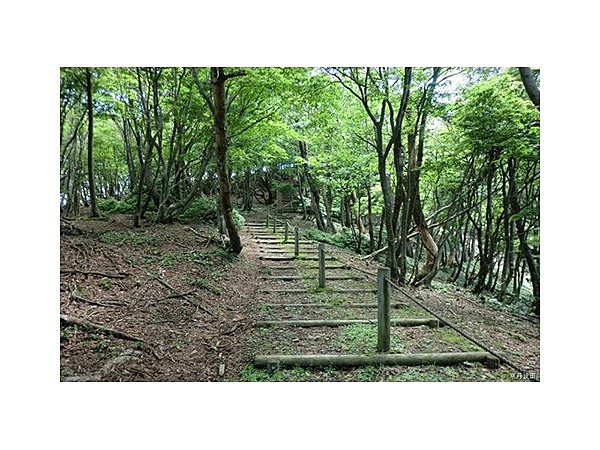 長老ケ岳ハイキングコース