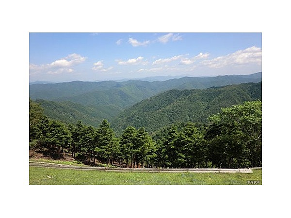 長老山森林公園