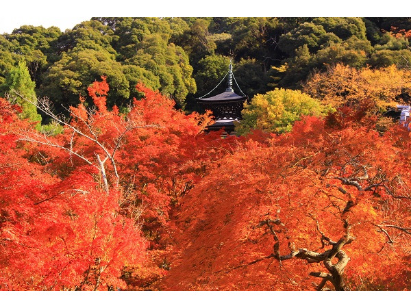 永観堂（禅林寺）